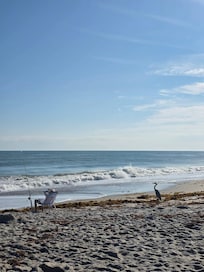 Non-crowded beach