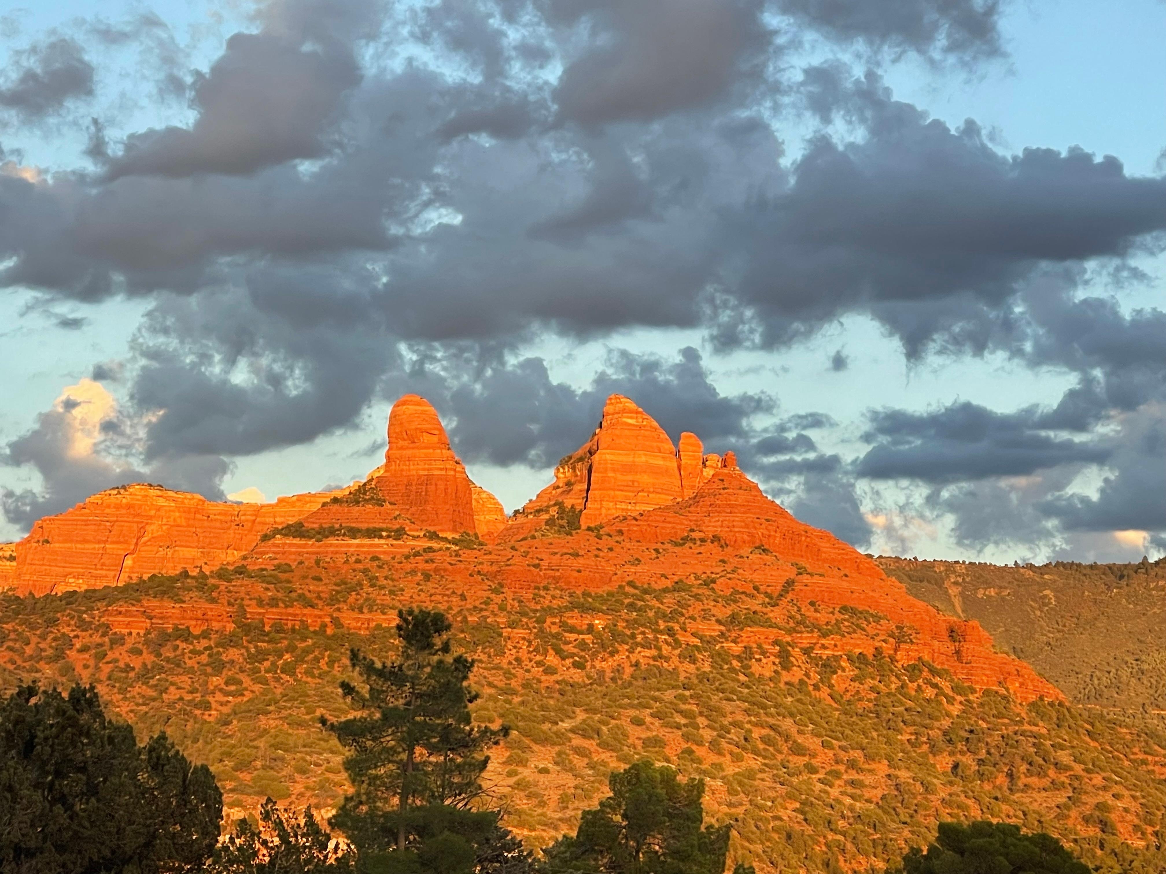 View from the front yard
