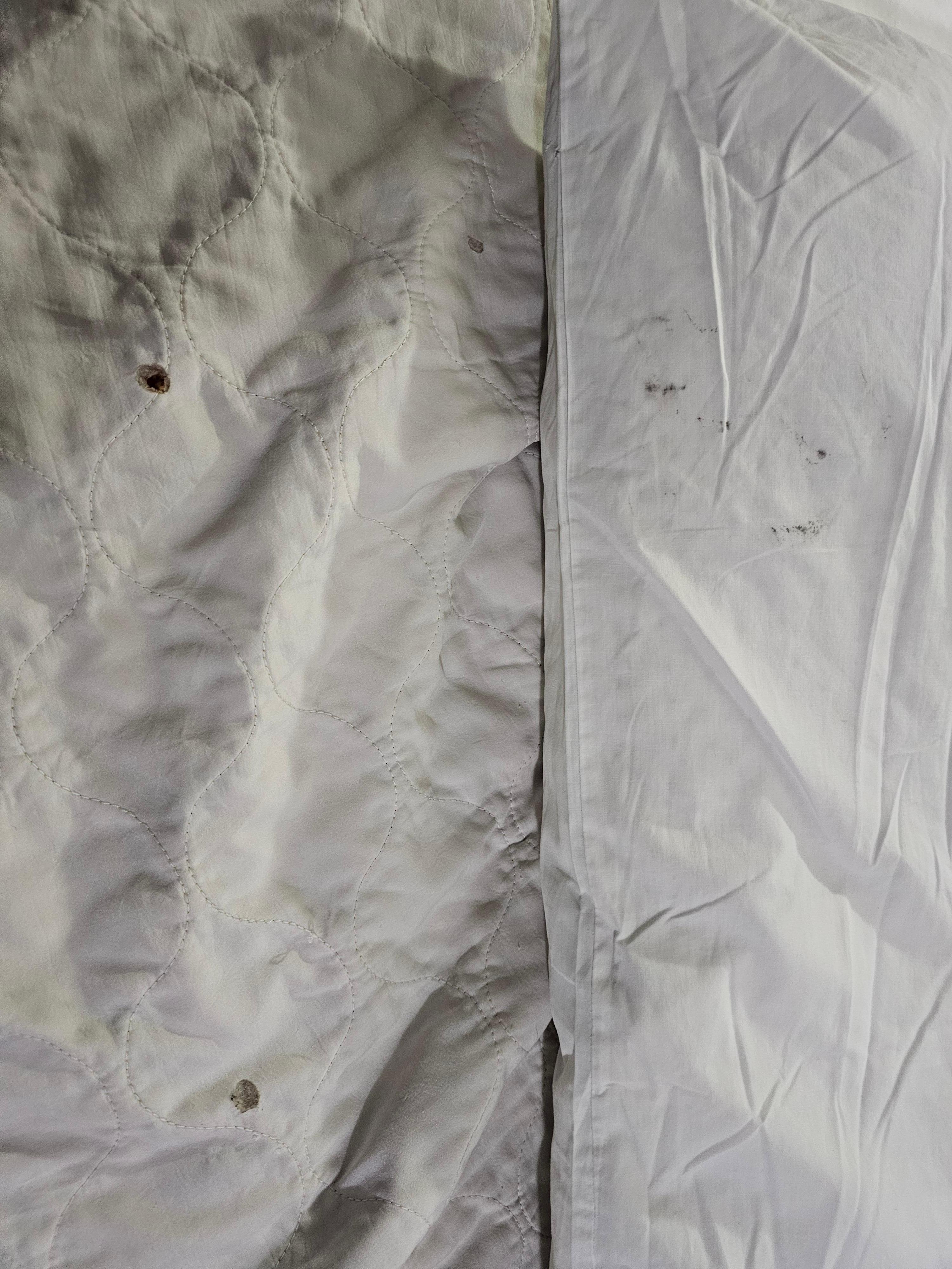 Part of the comforter and the moldy pillowcase