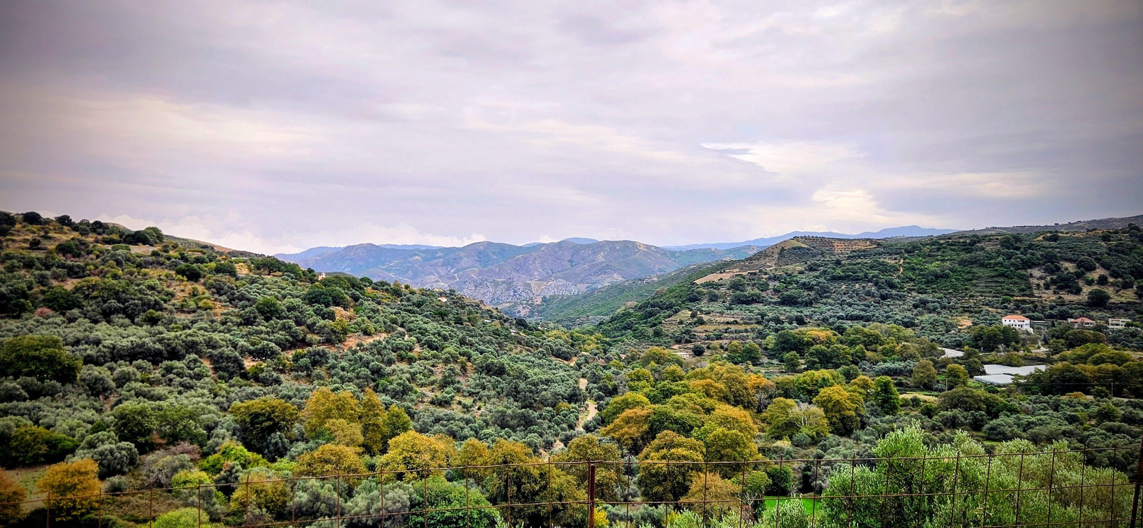 Views feom upper balcony 