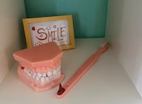 Owners a retired dentist? My detective skills say yes!