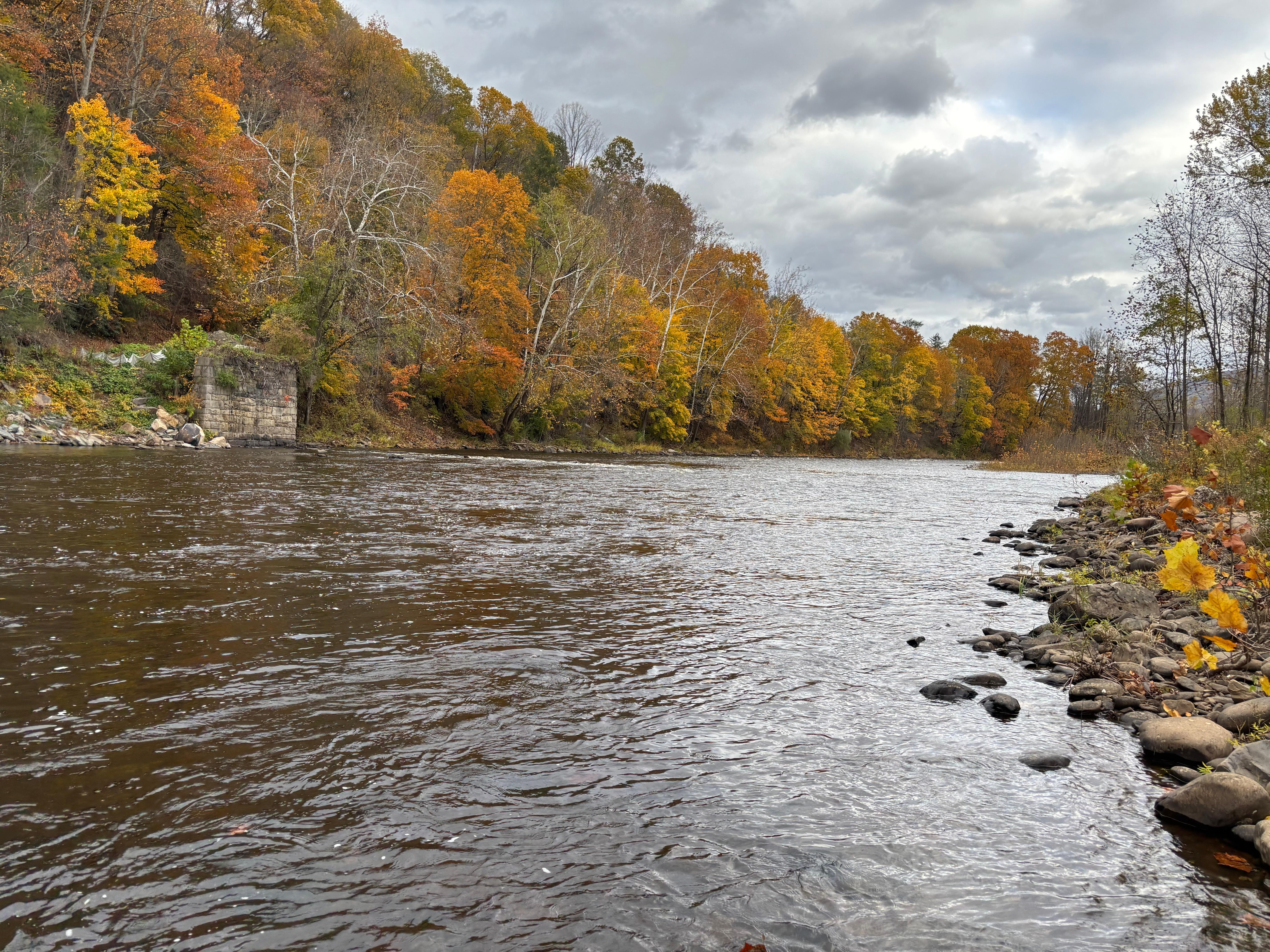 River near cabin 