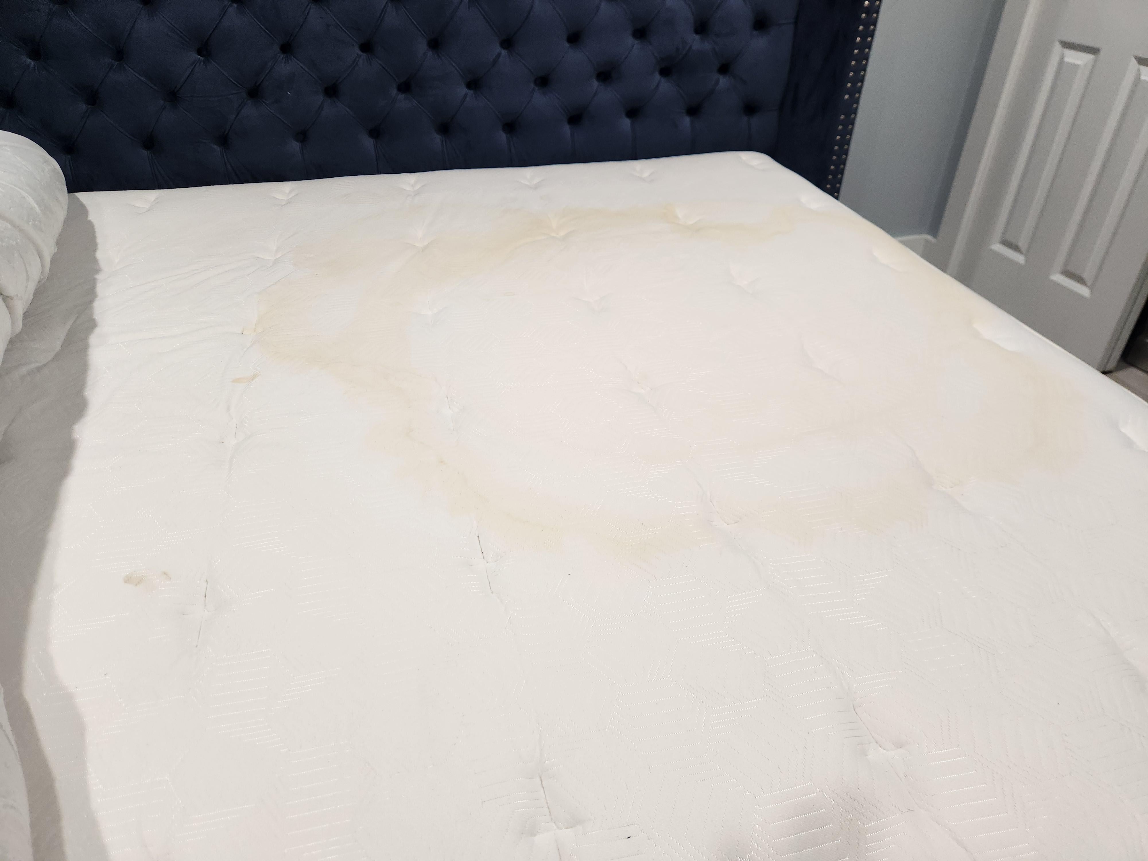 Primary Bedroom - Mattress