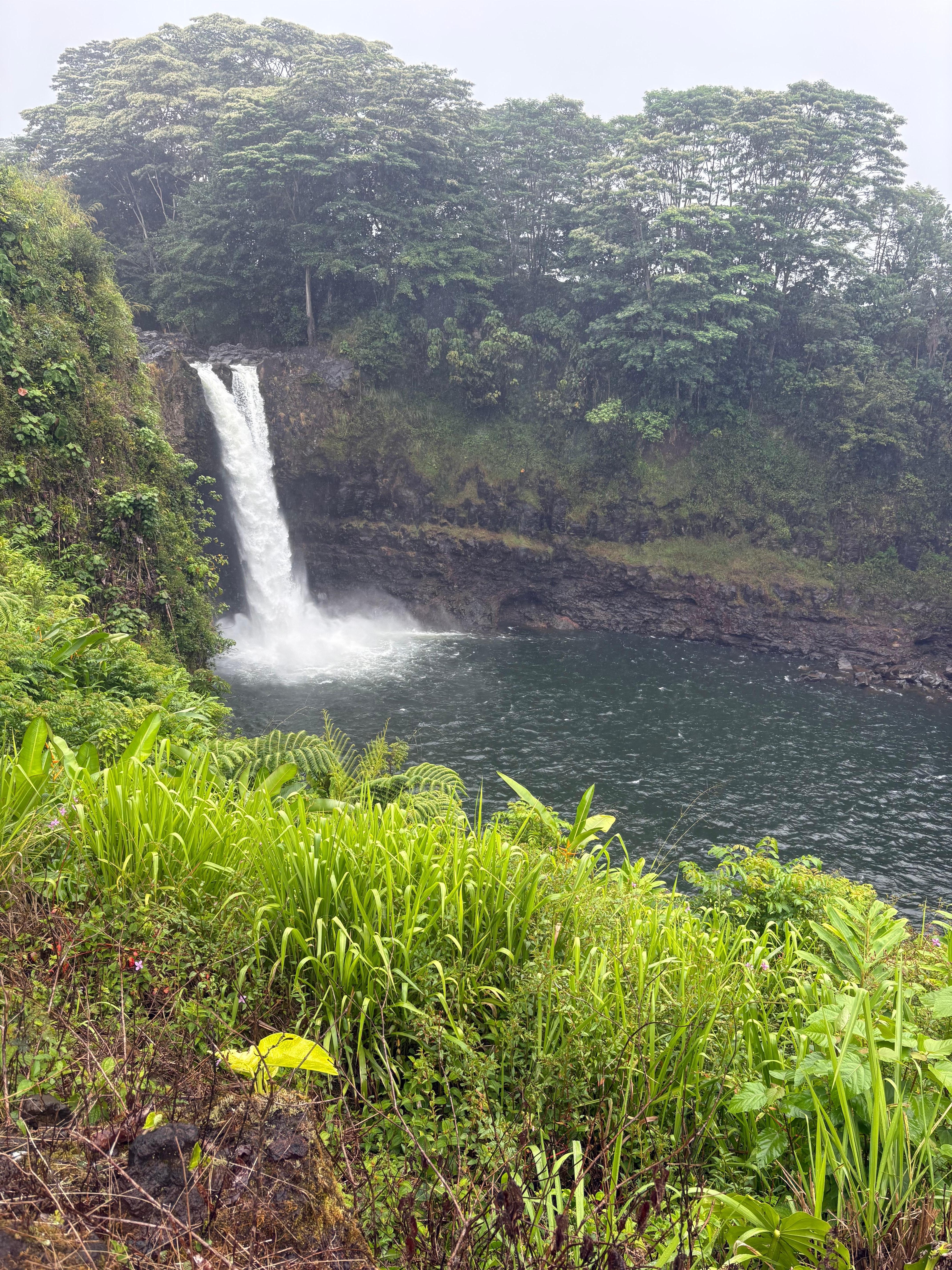 Photo of a local waterfall, less than a 5 min drive from the house.  