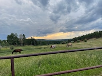 Sunset at the horse meadows