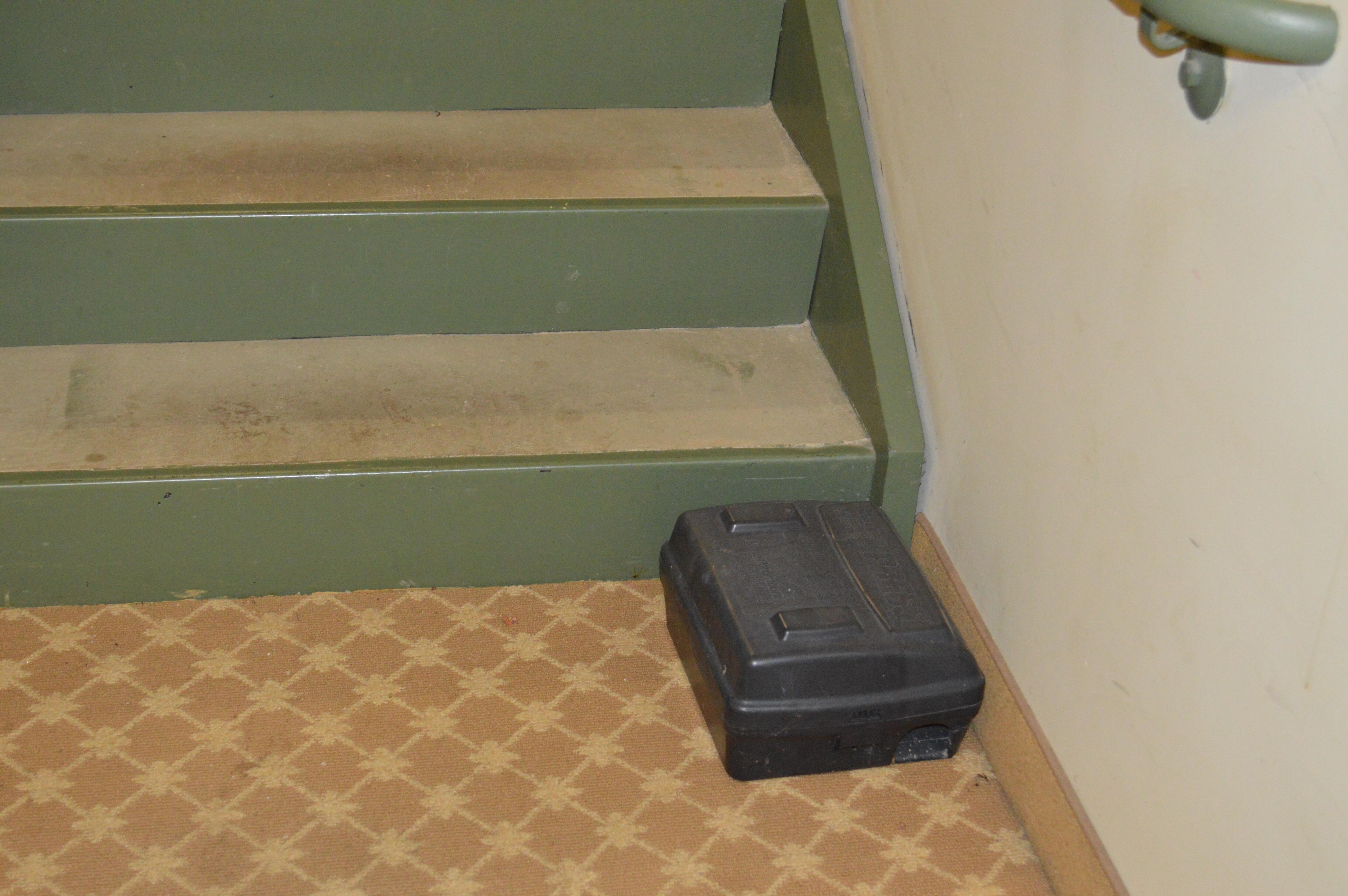 rat trap at the lower level stair well
