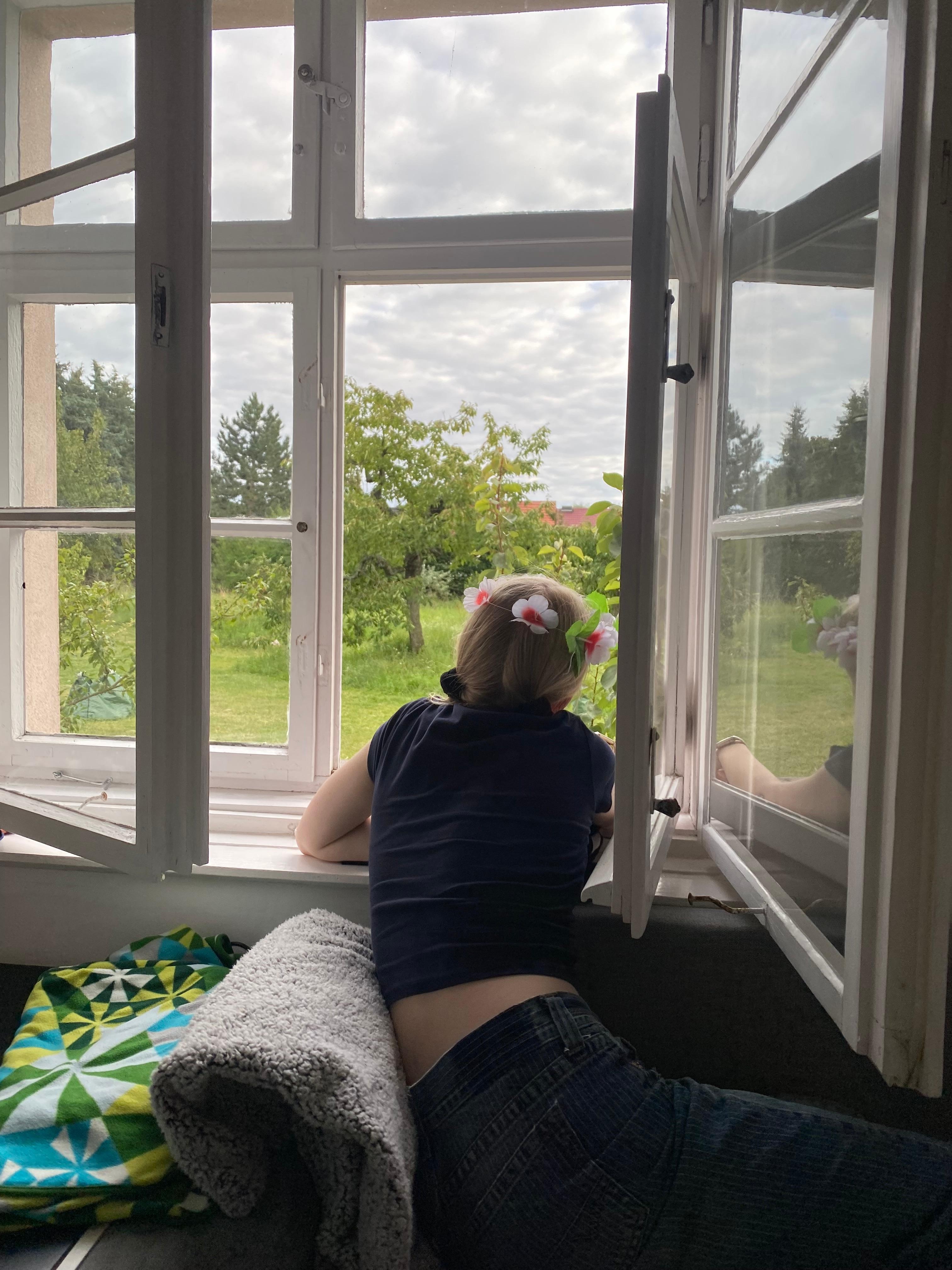 Blick aus dem Küchenfenster