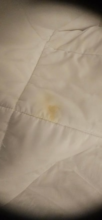 Only one of the stains we took a picture of. Gross