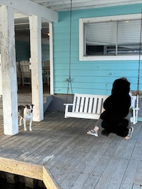 Siding falling off, paint chipped off everywhere