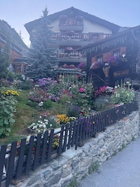 Beautiful garden