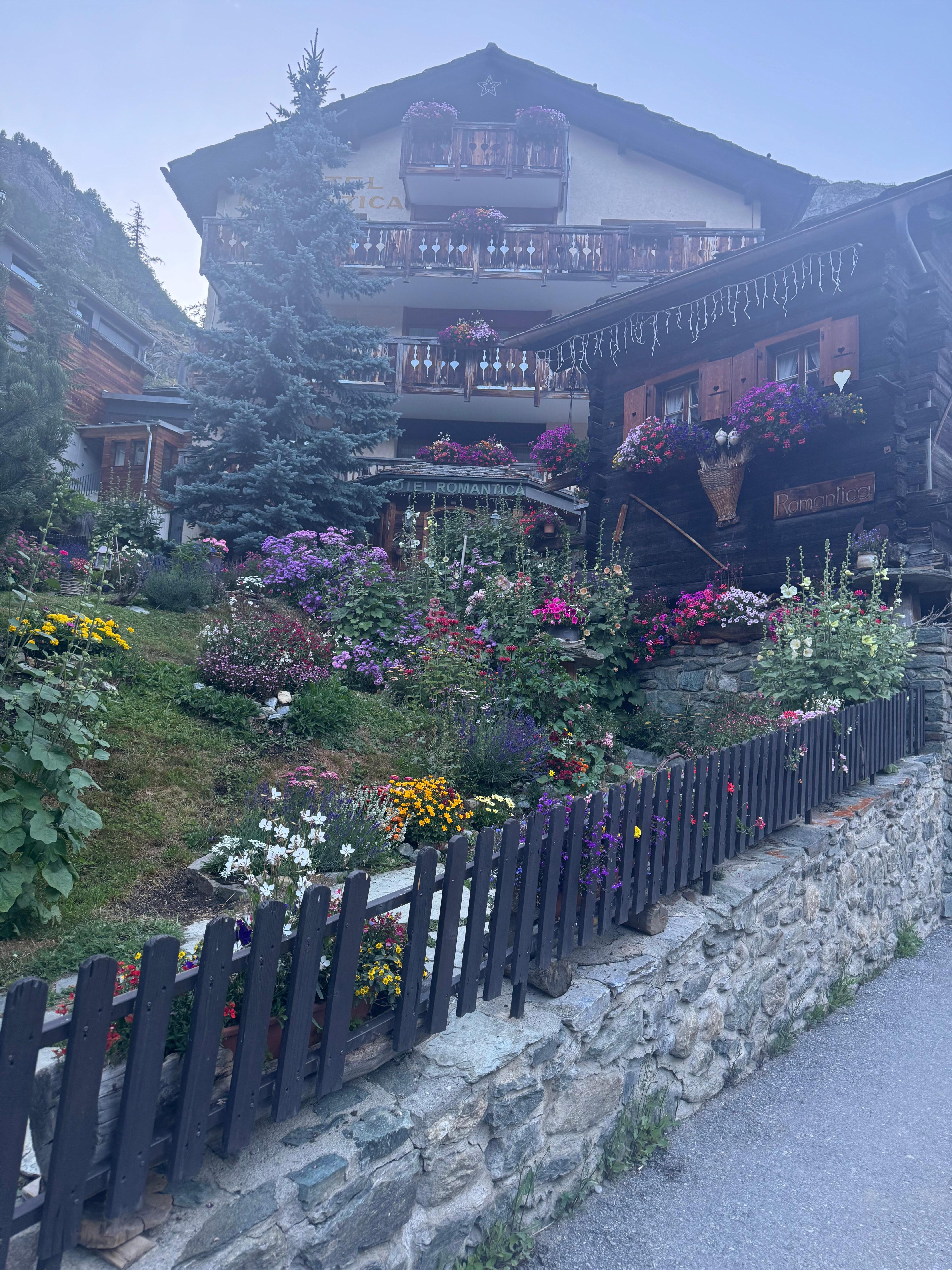Beautiful garden