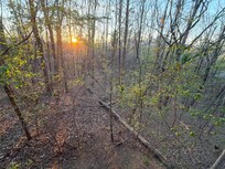 View waking up enjoying coffee