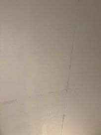Mold?