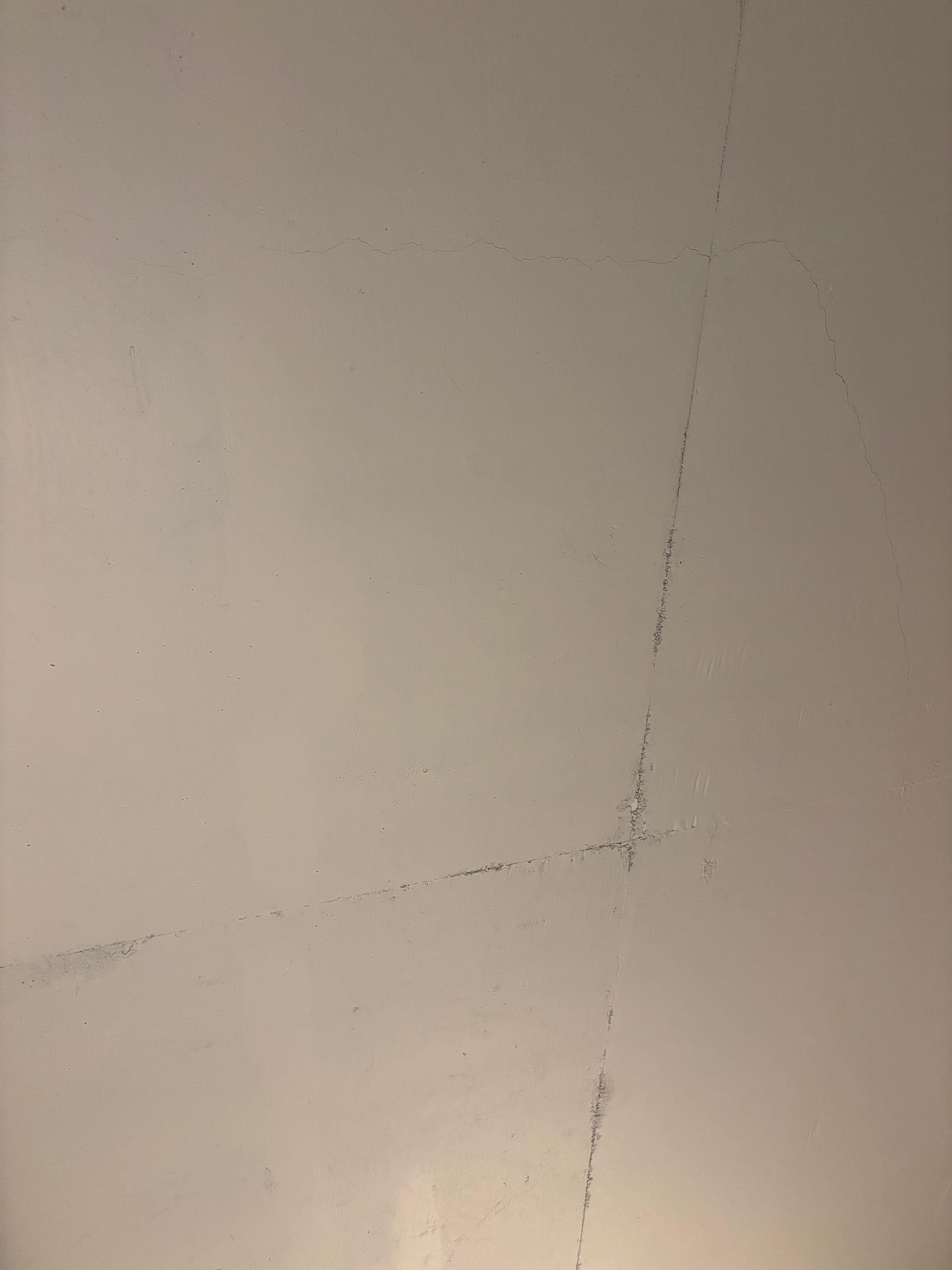 Mold? 
