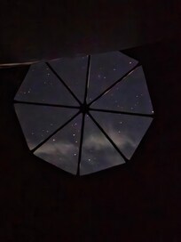 Skylight