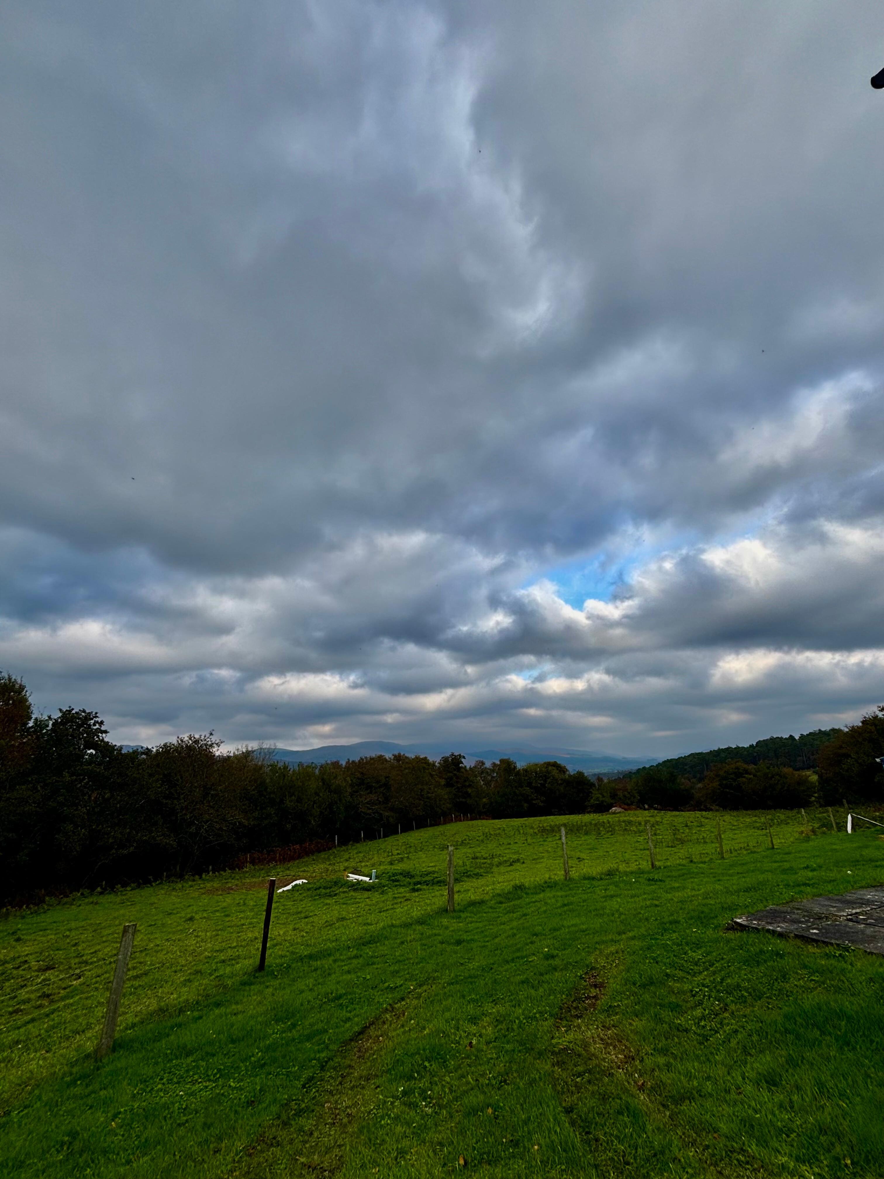 View from back porch