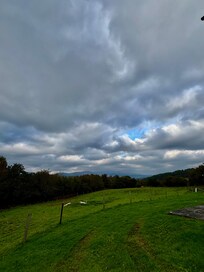 View from back porch