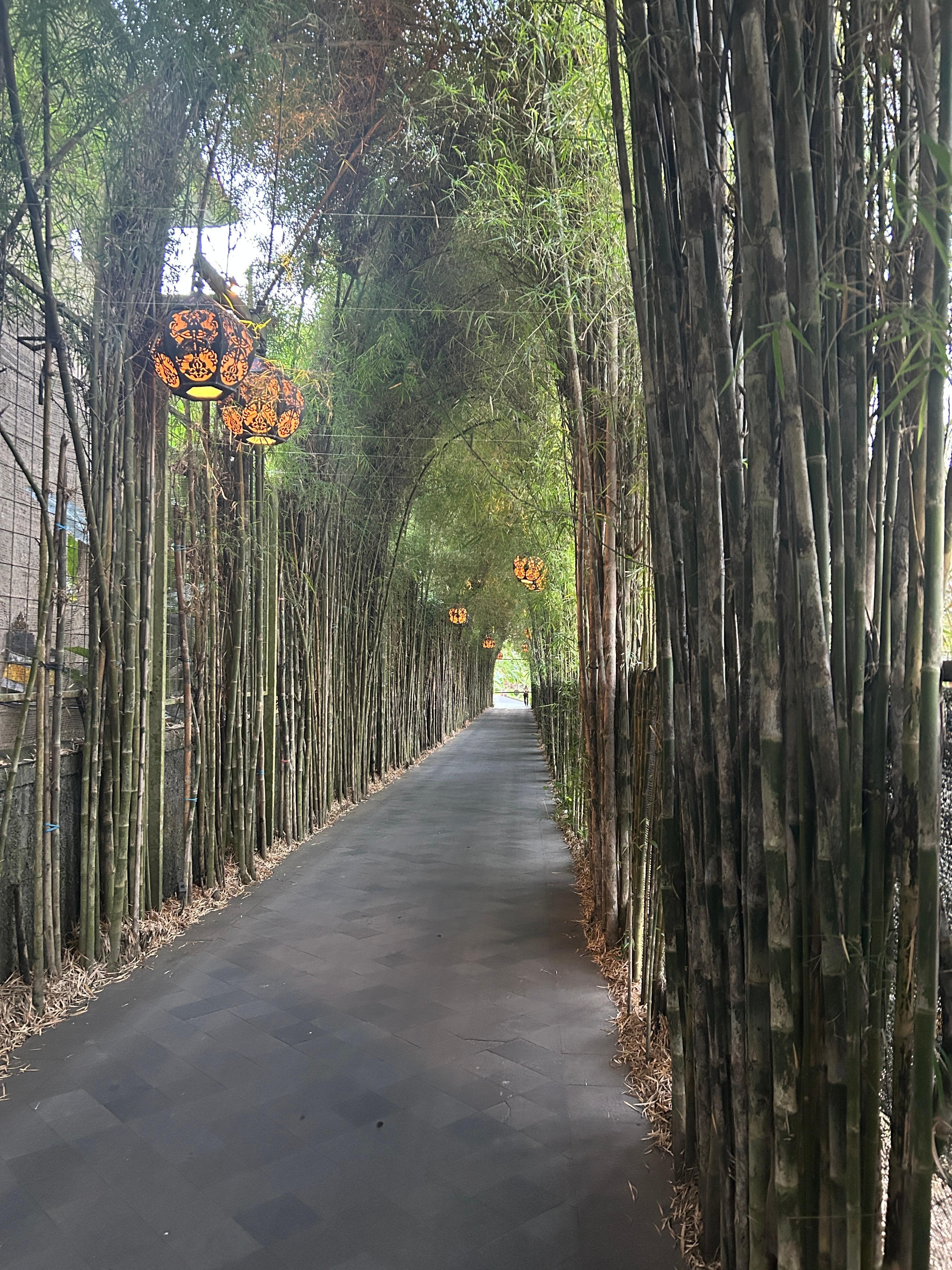 Entrance was enchanting when lit up at night