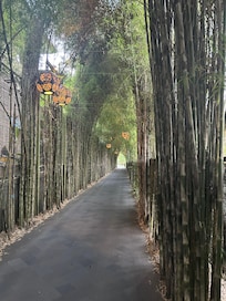 Entrance was enchanting when lit up at night