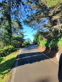 View from paths