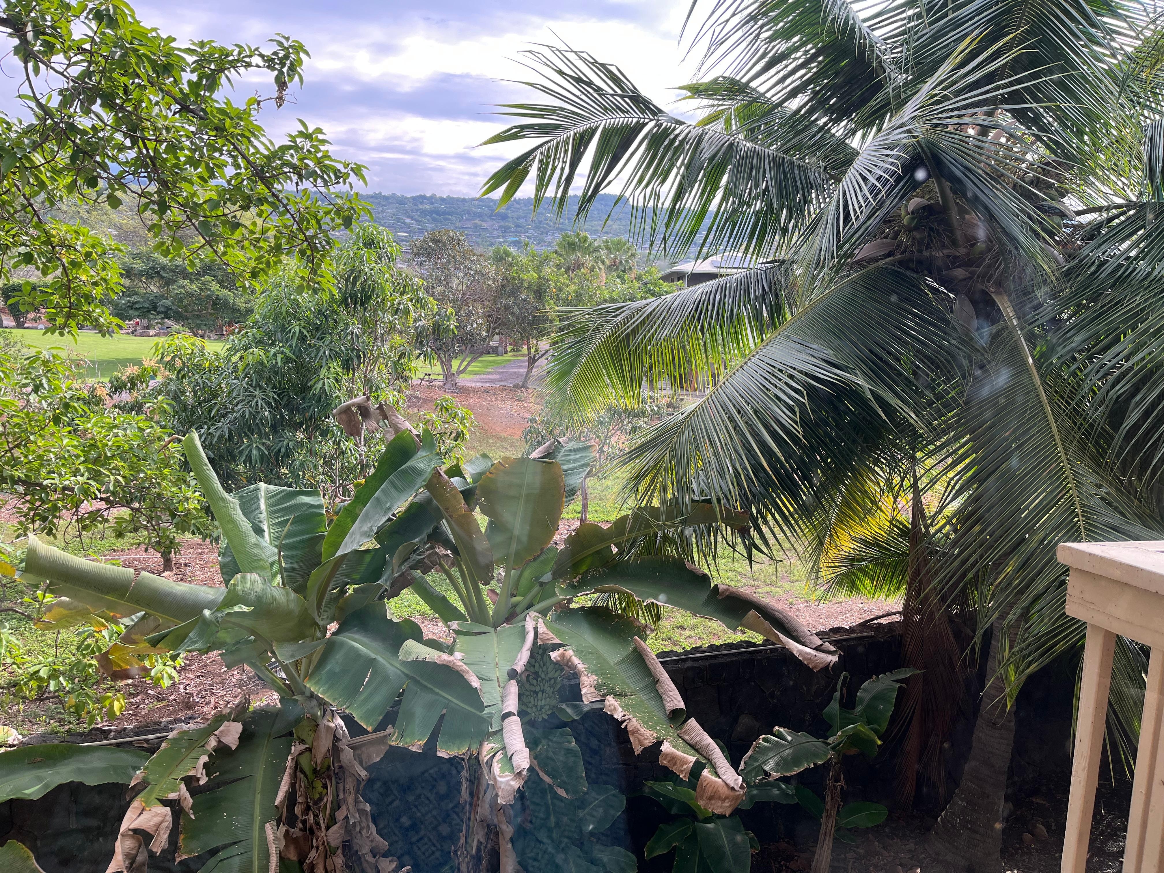 view from the apartment