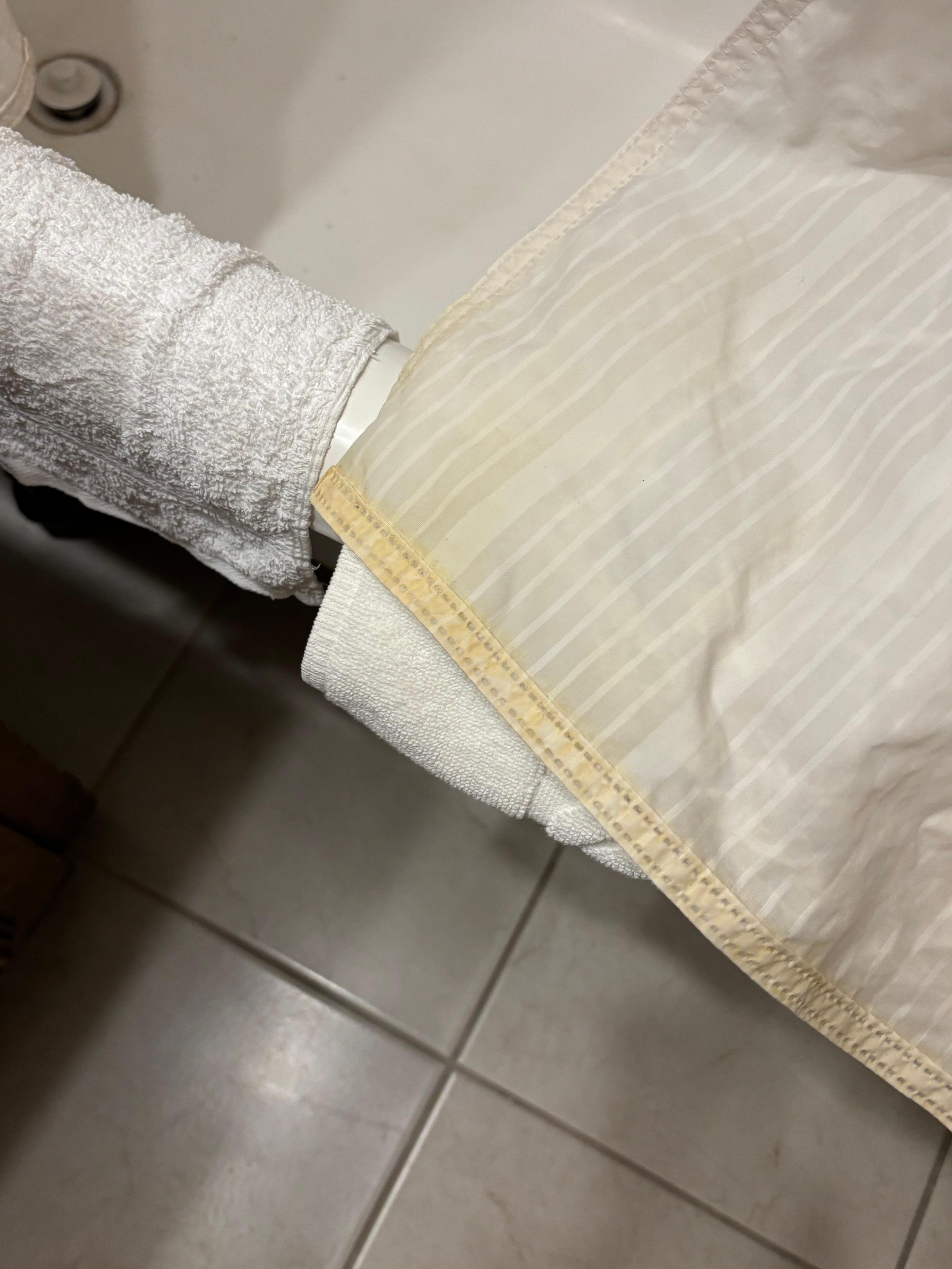 Shower curtain mildew