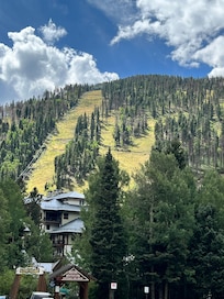 Taos ski valley in summer.
