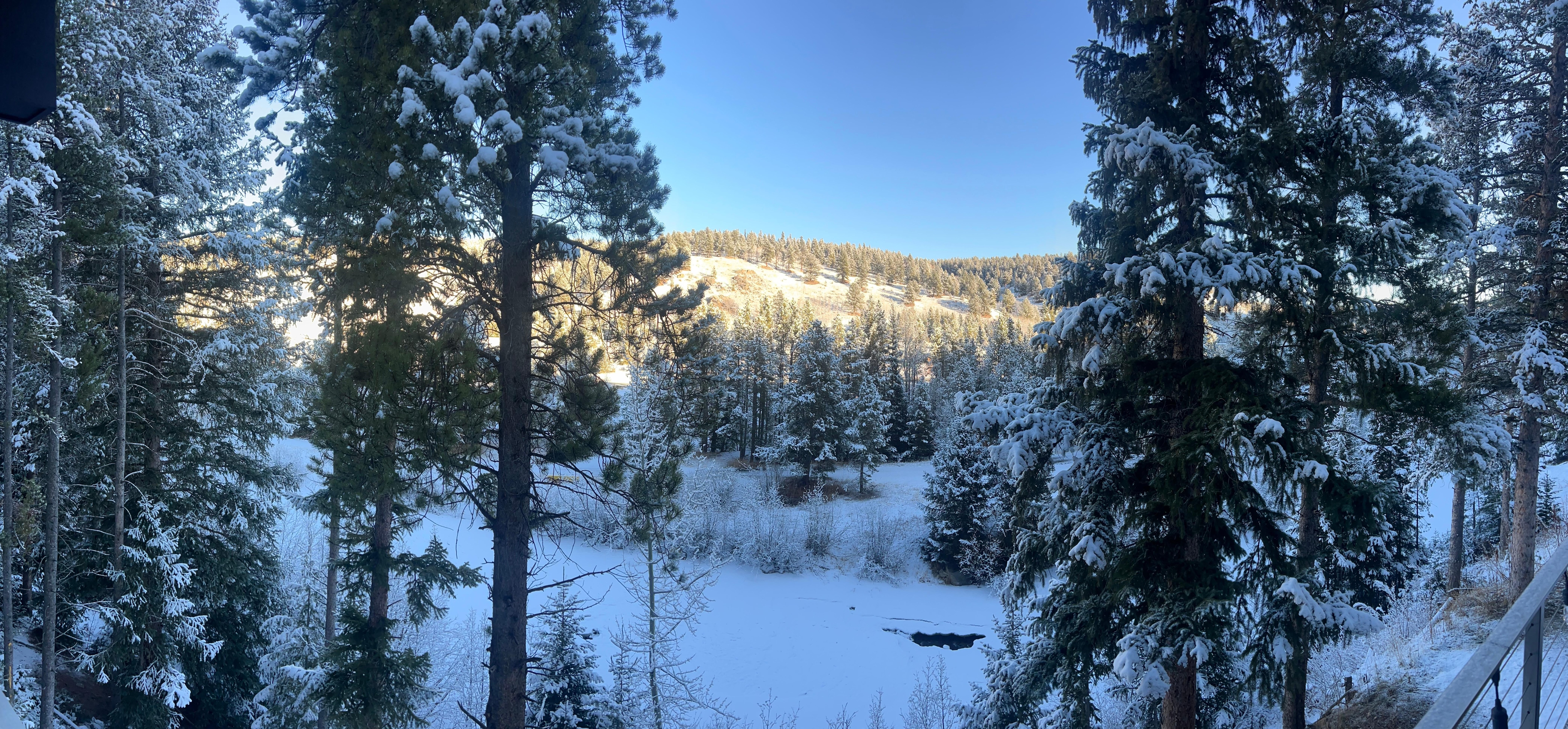 Gorgeous view to awake to.