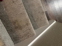 Stained carpet all up and down stairway