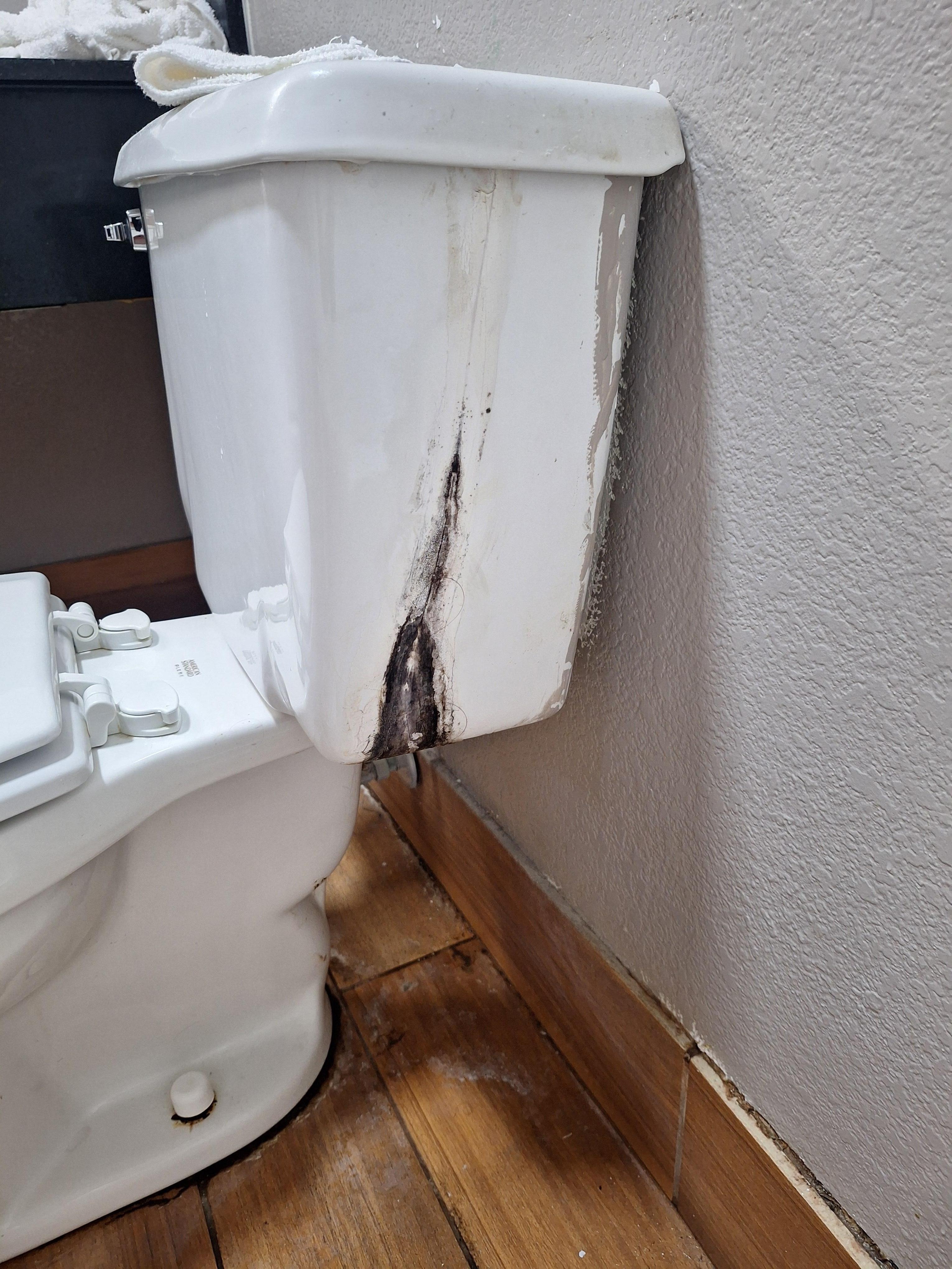 Leaking toilet with calcium and slime 