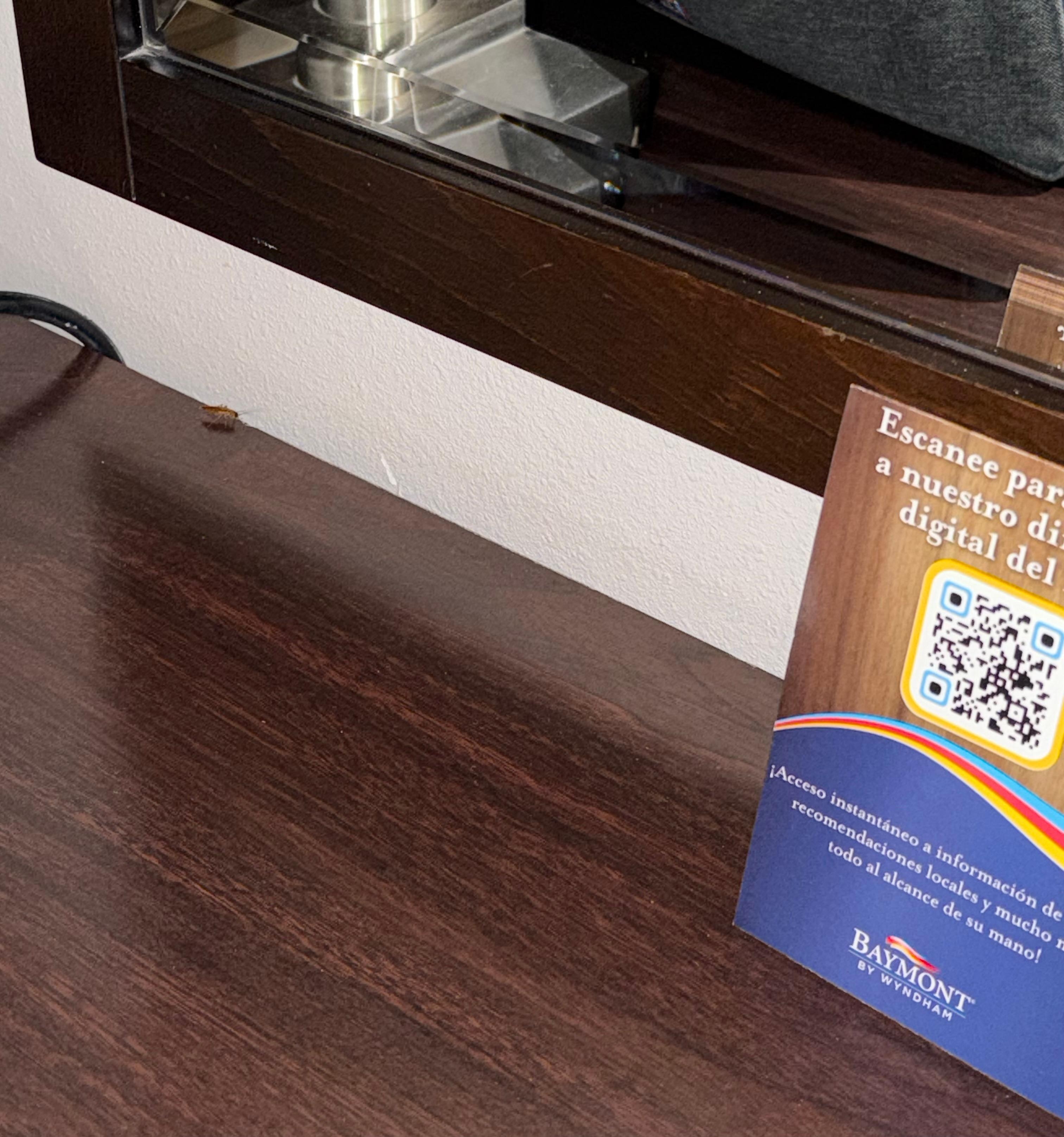 Found this on the table, where I had my clothes laid out