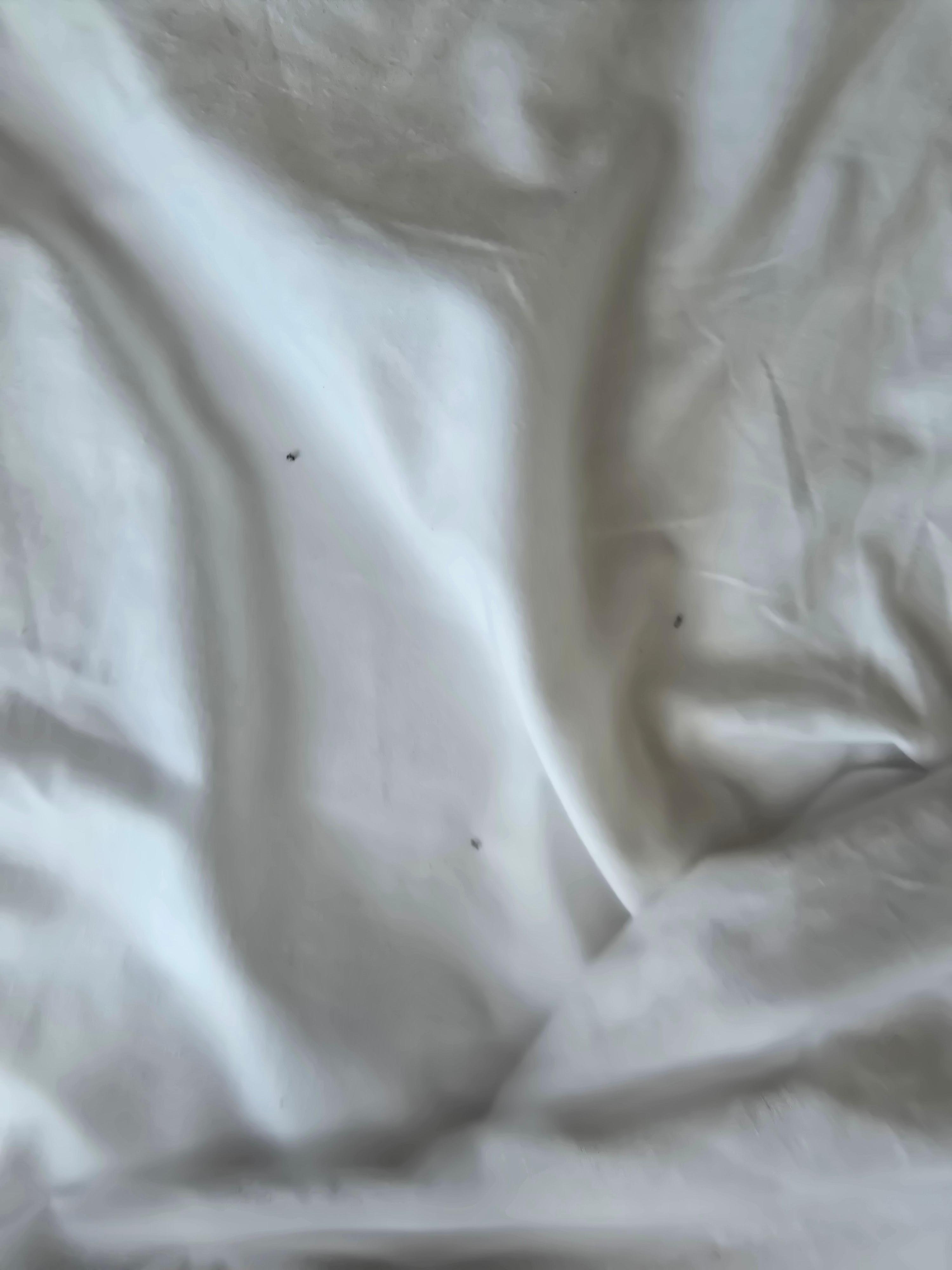 Ants on bed sheet