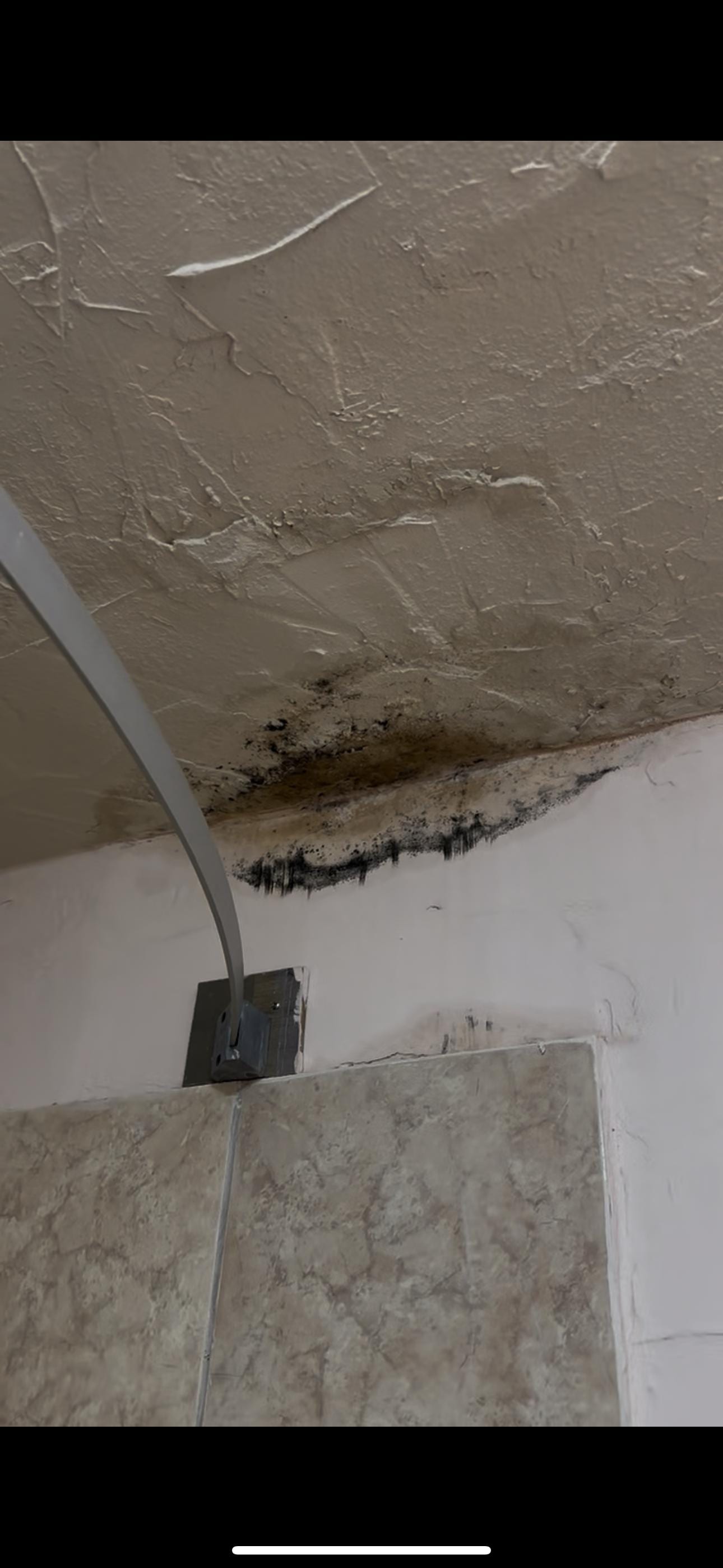 Bathroom ceiling mold