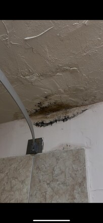 Bathroom ceiling mold