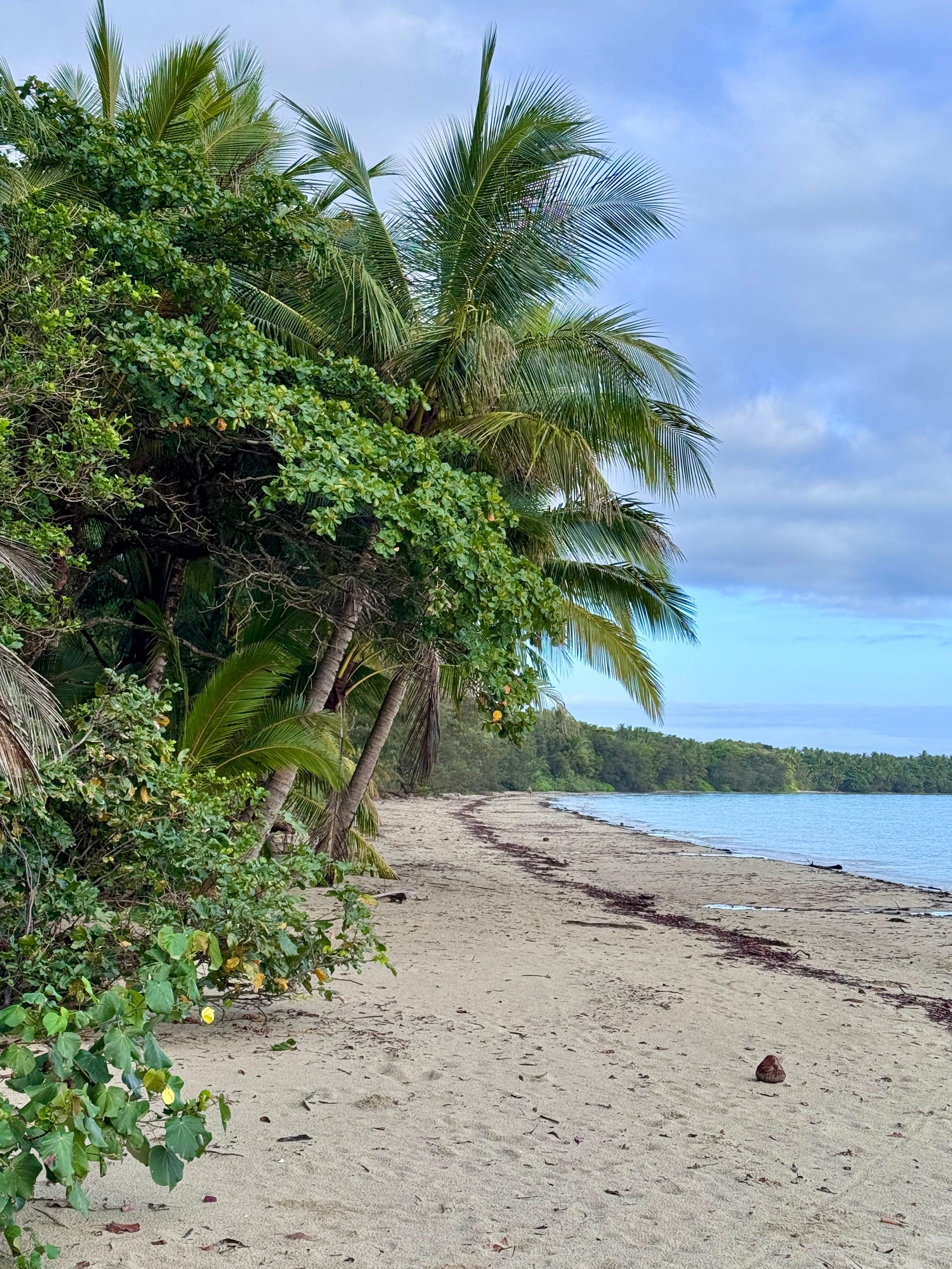 Beach down the street