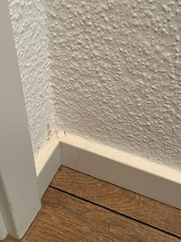 Spinnenweben und Leichen