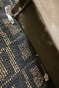 end of bed, trash & insects