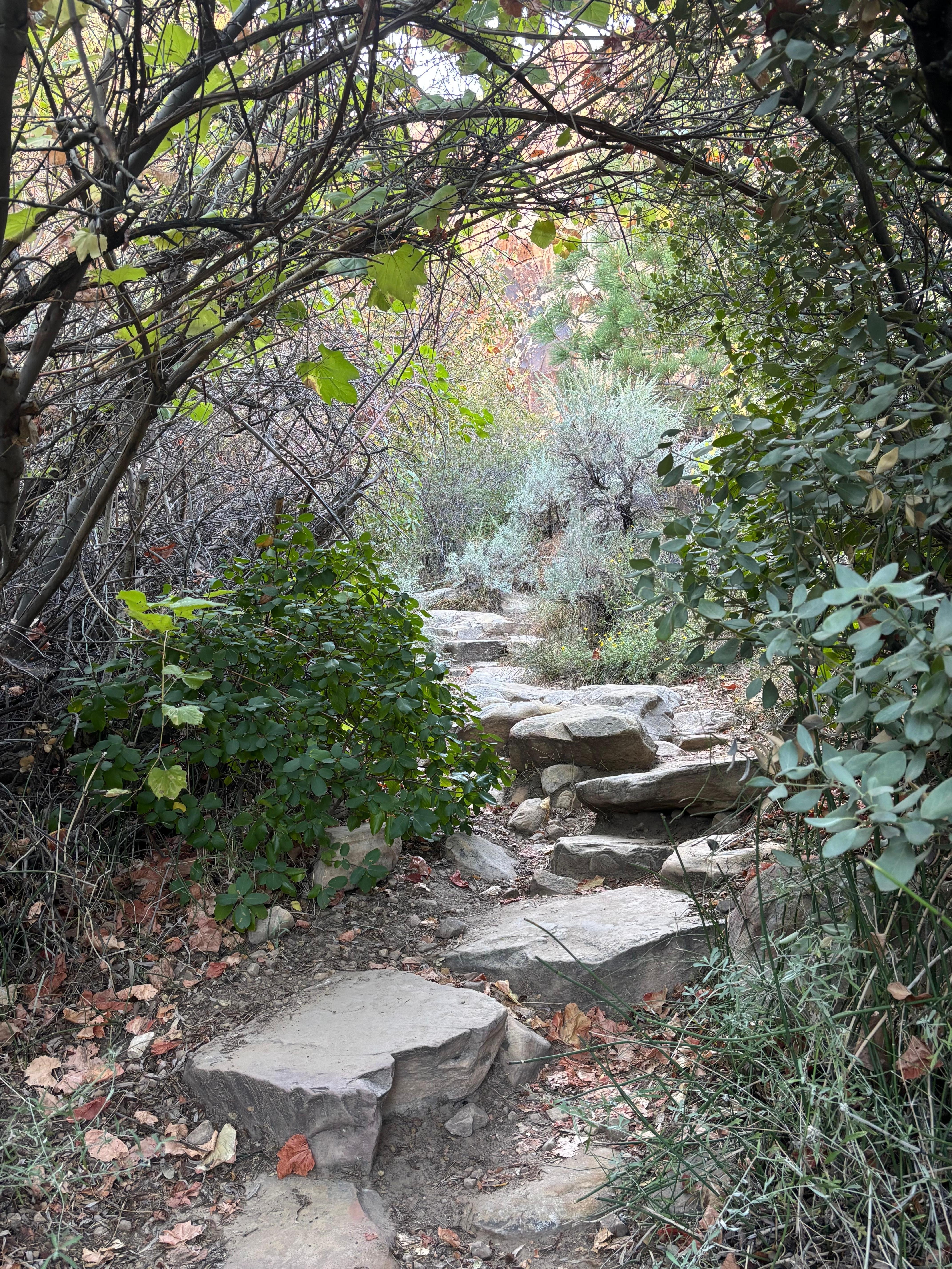 Red Rock Canyon, NV. Taken on a hike while waiting for friends to arrive in Vegas before the drive to UT. 