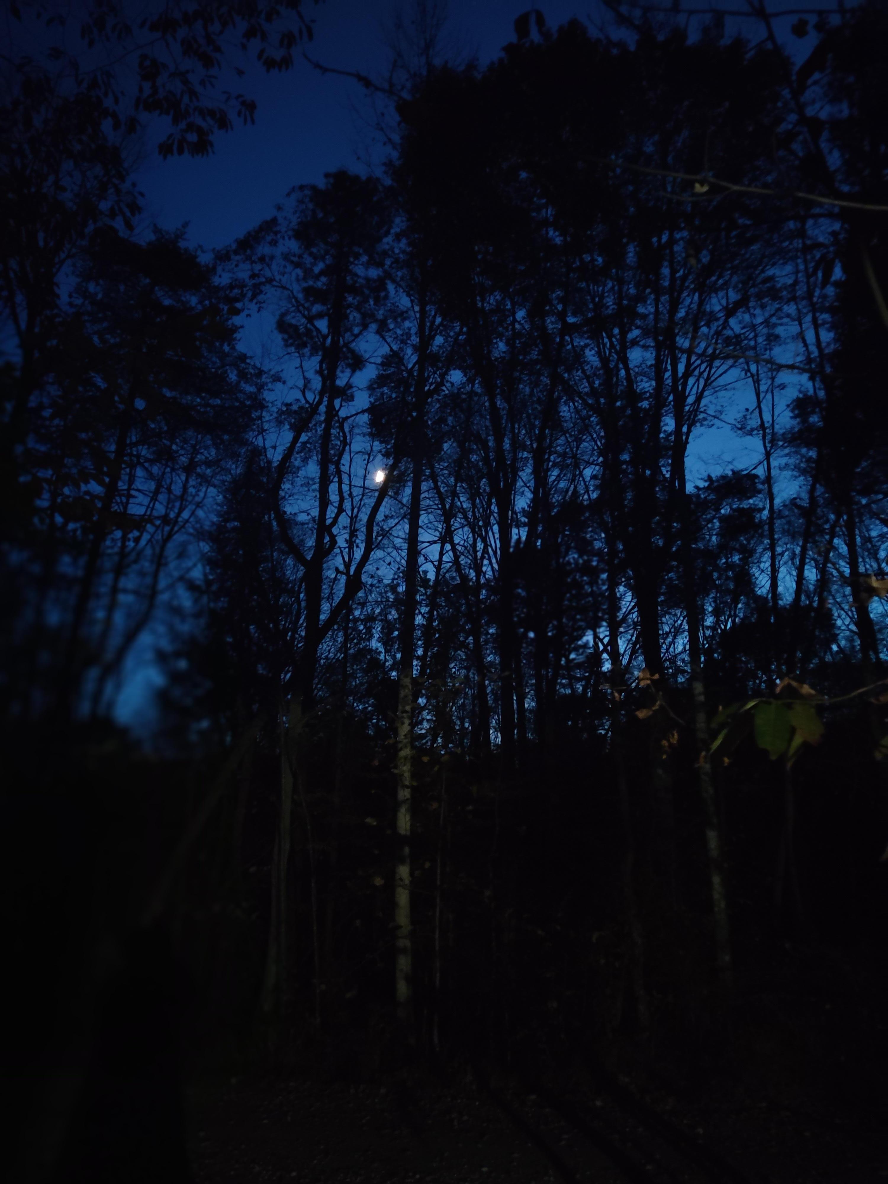 A beautiful moon on a perfect clear fall night right outside the door.