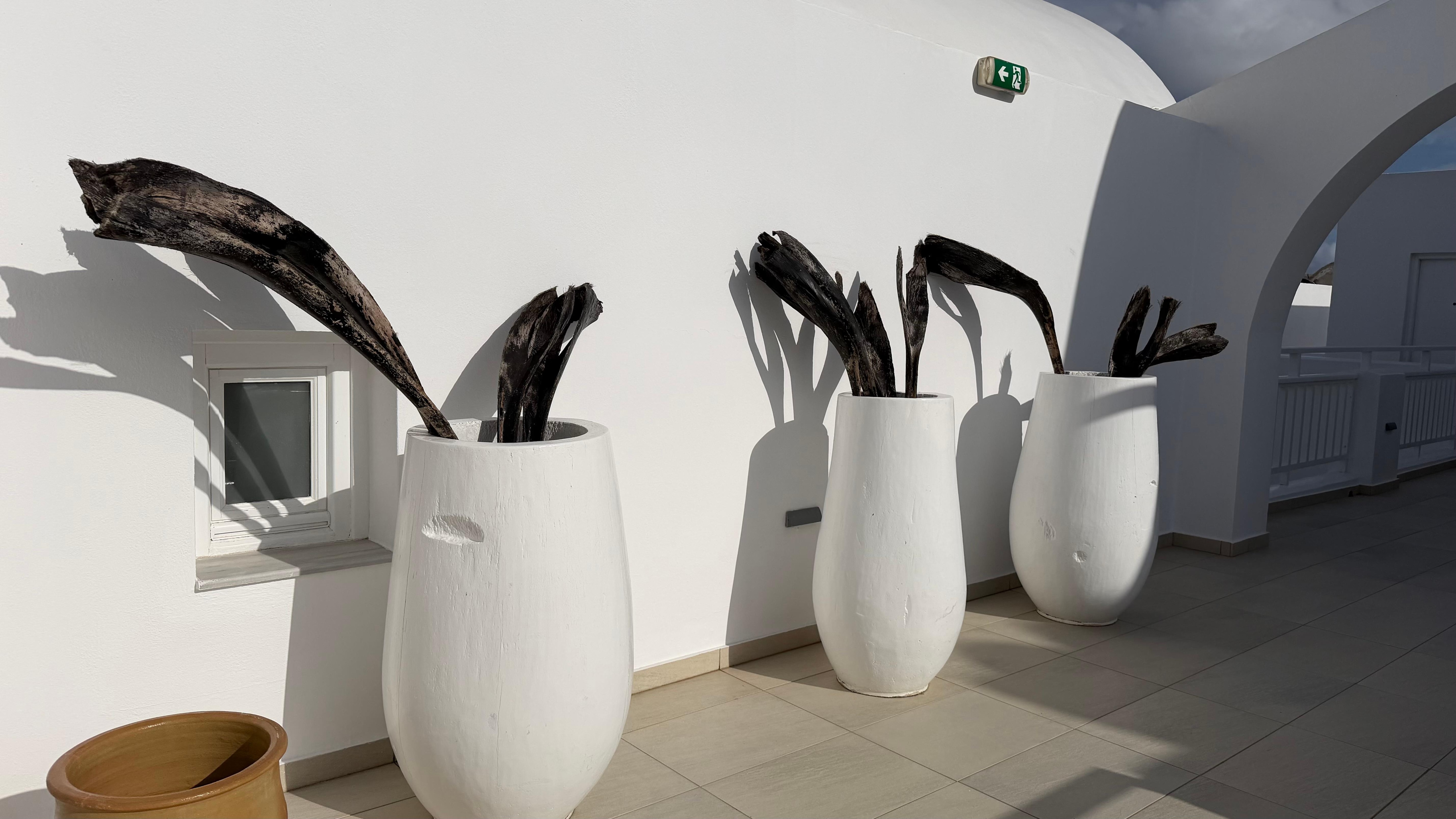 Gorgeous white decor and foliage 