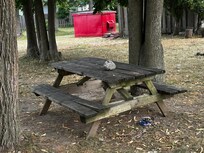 Backyard is full of cigarette butts