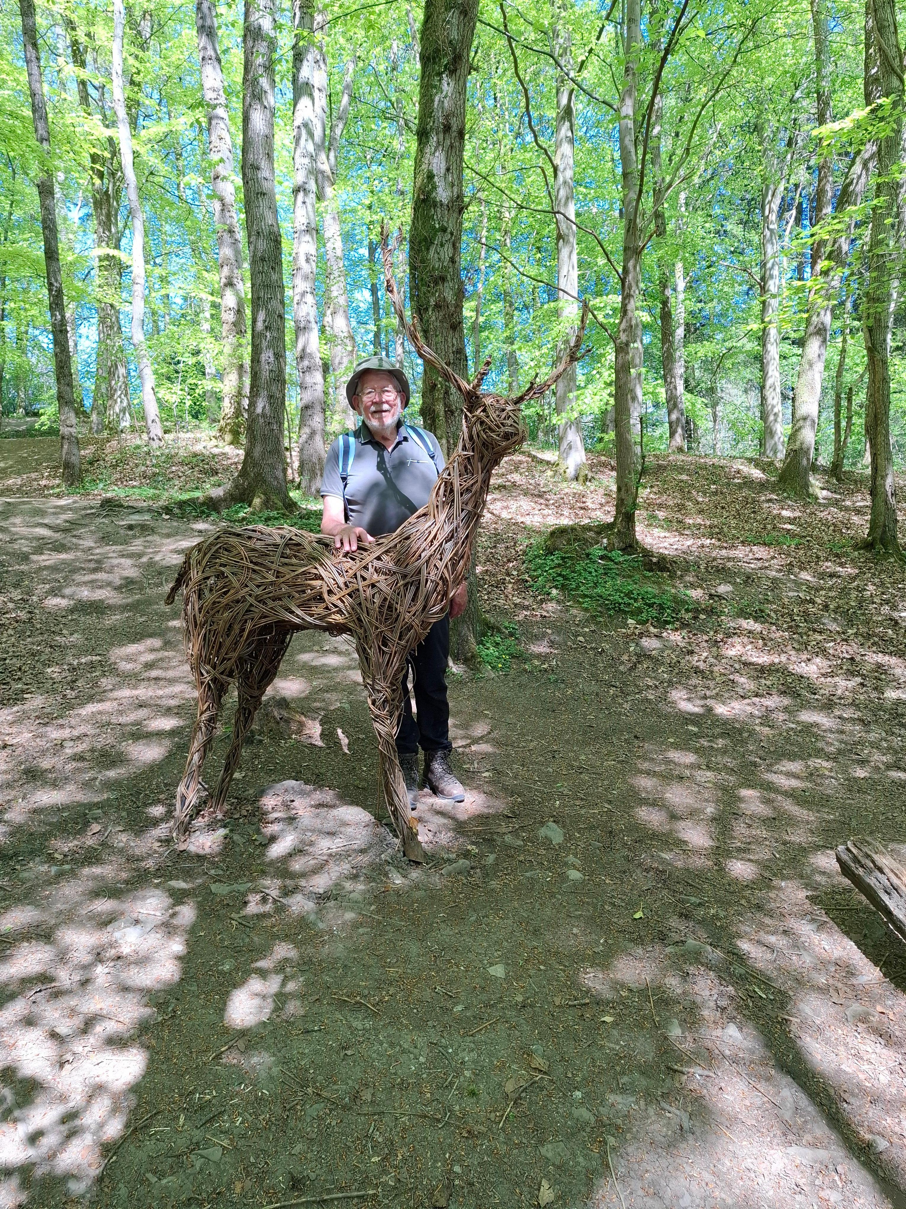 Skipton Castle Woods