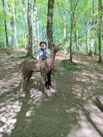 Skipton Castle Woods