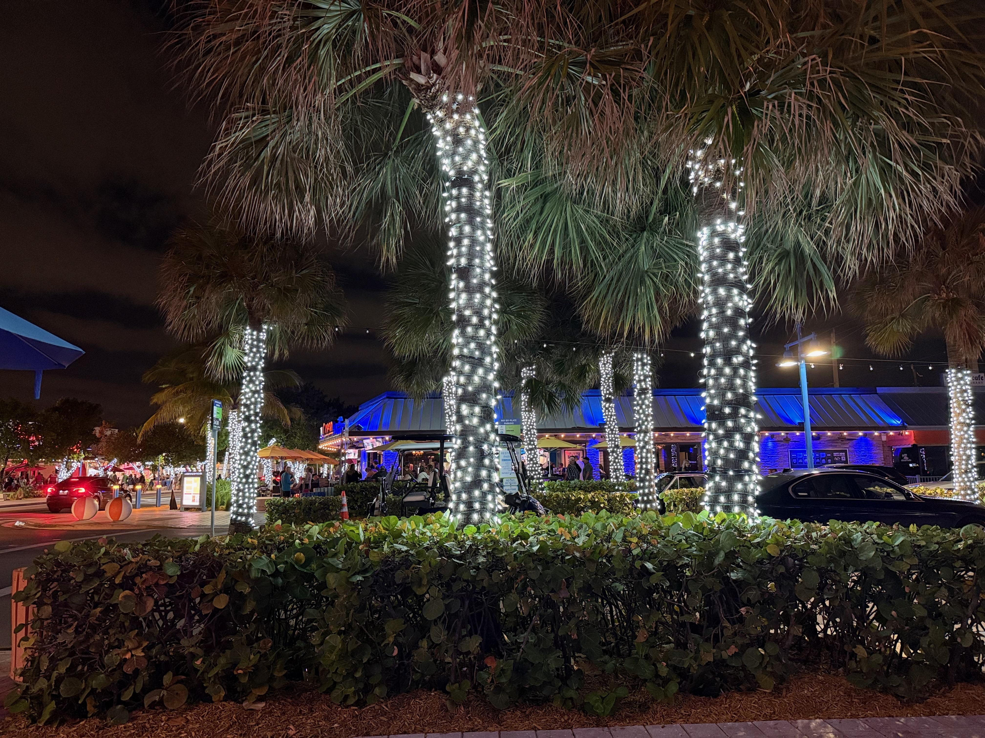 Trees decorated in Lauderdale by the Sea