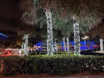 Trees decorated in Lauderdale by the Sea
