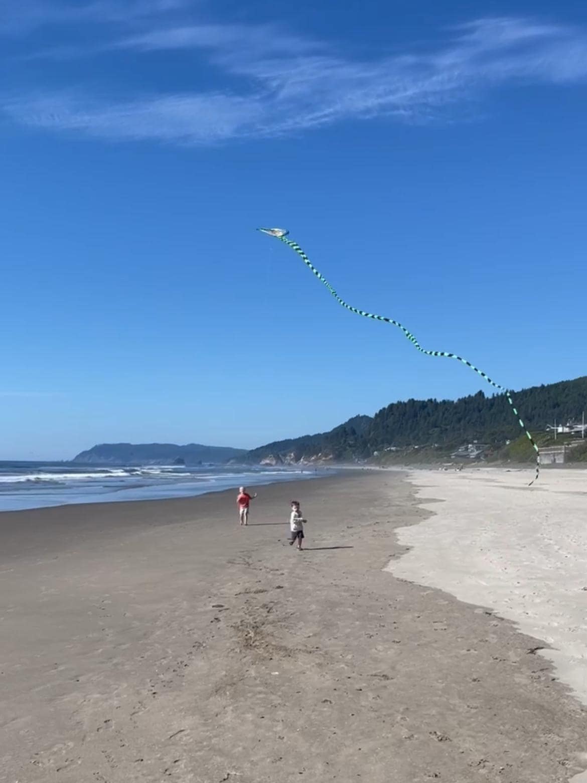Looking north on the beach