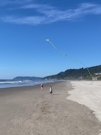 Looking north on the beach