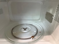 Disgusting microwave