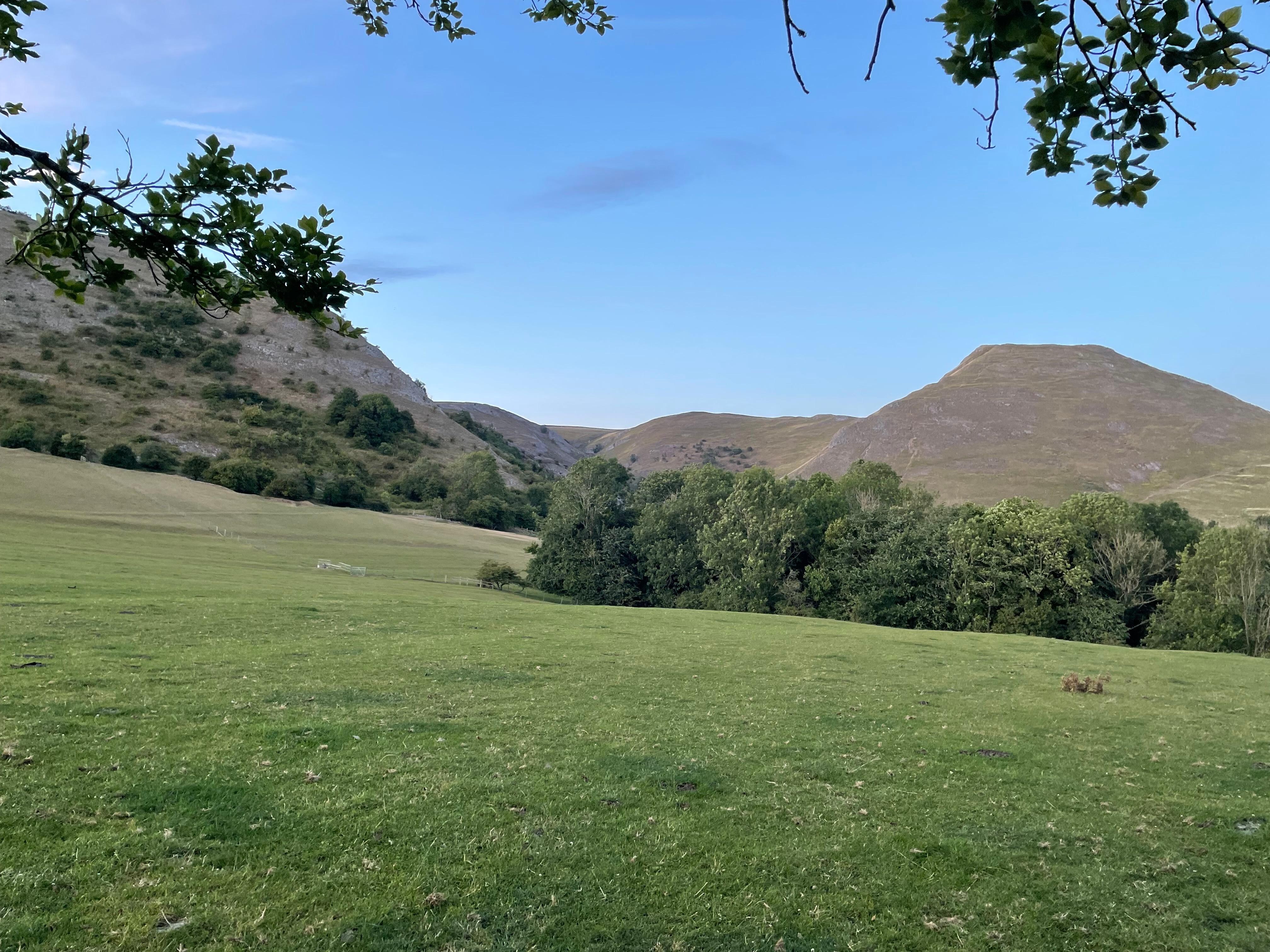 View from the garden 
