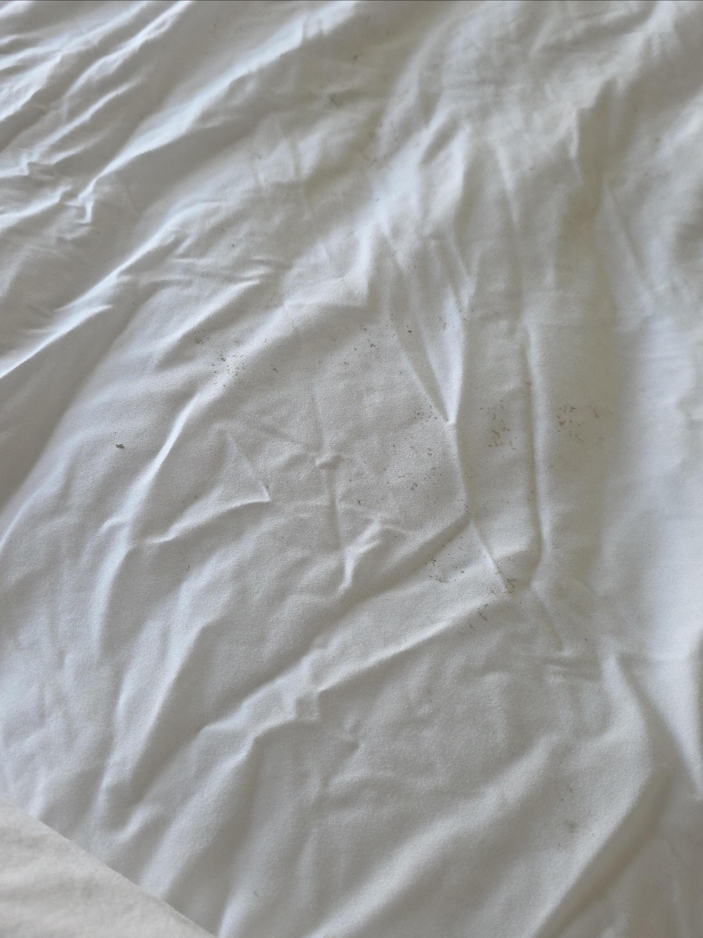 Look closer at the sheets covered in mole 